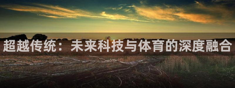 猎豹体育文化：超越传统：未来科技与体育的深度融合