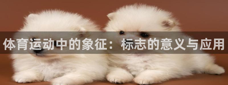 猎豹体育app官方入口：体育运动中的象征：标志的意义与应用