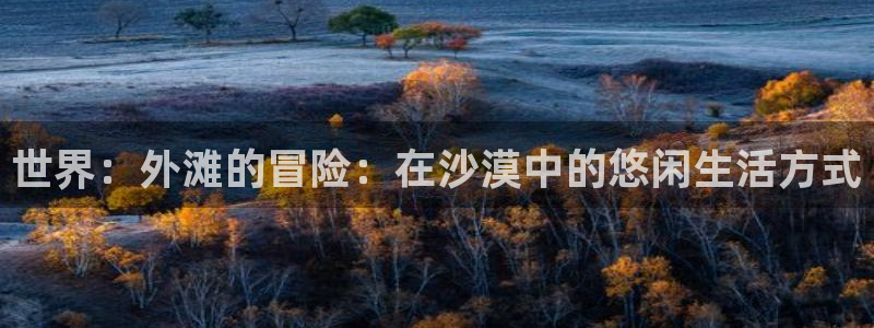 猎豹体育：世界：外滩的冒险：在沙漠中的悠闲生活方式