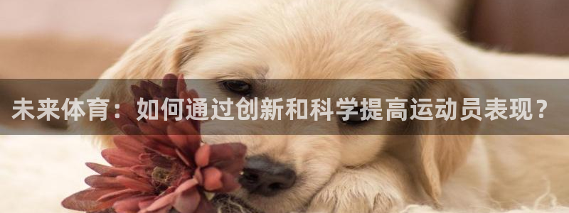 猎豹体育官网：未来体育：如何通过创新和科学提高运动员表现？