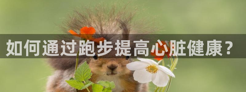 猎豹体育免费观看高清直播：如何通过跑步提高心脏健康？