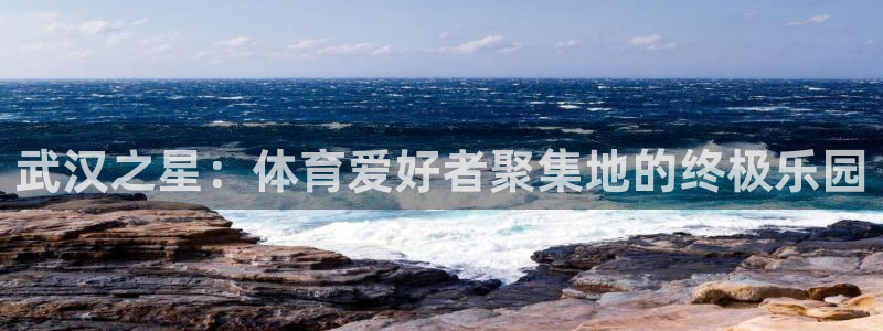 猎豹体育app官方入口：武汉之星：体育爱好者聚集地的终极乐园