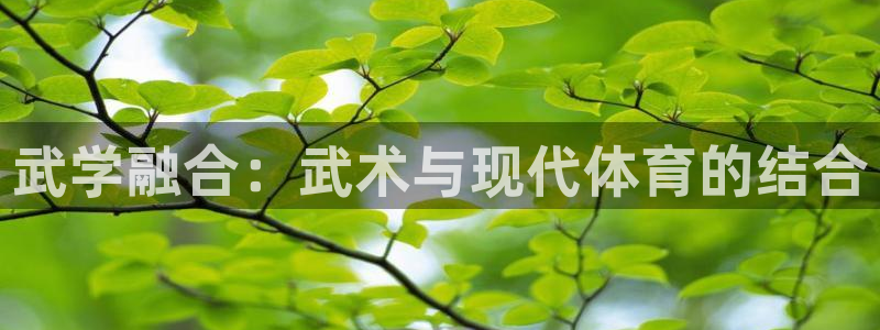 猎豹体育直播在线观看(无插件)：武学融合：武术与现代体育的结合