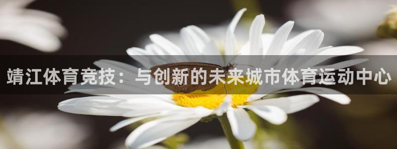 猎豹体育app官方入口：靖江体育竞技：与创新的未来城市体育运动中心